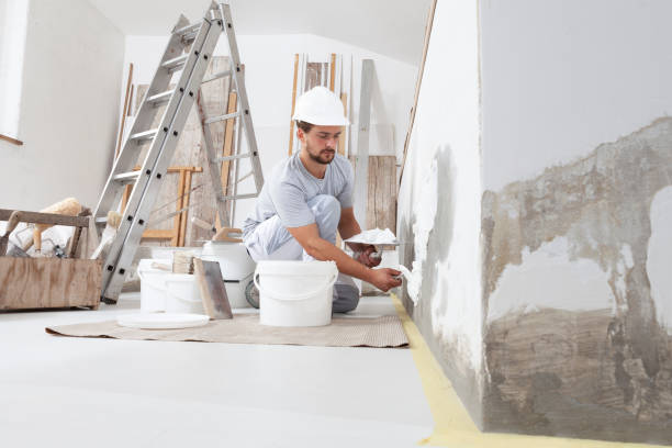 Best Repainting for Renovations  in , MN