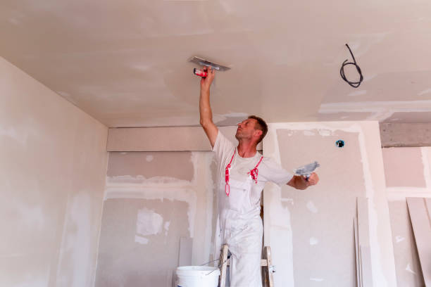 Best Eco-Friendly and Low-VOC Painting  in , MN